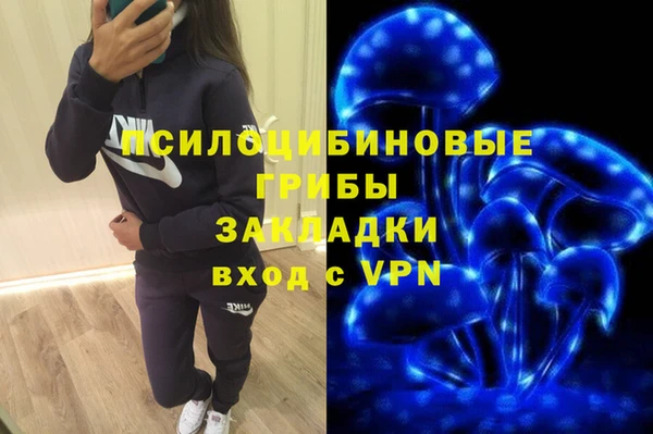 гидра Алексеевка