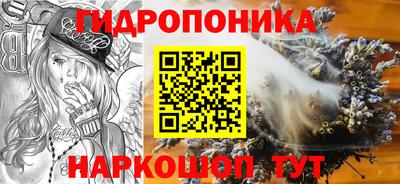 ГАЛЛЮЦИНОГЕННЫЕ ГРИБЫ Шебекино