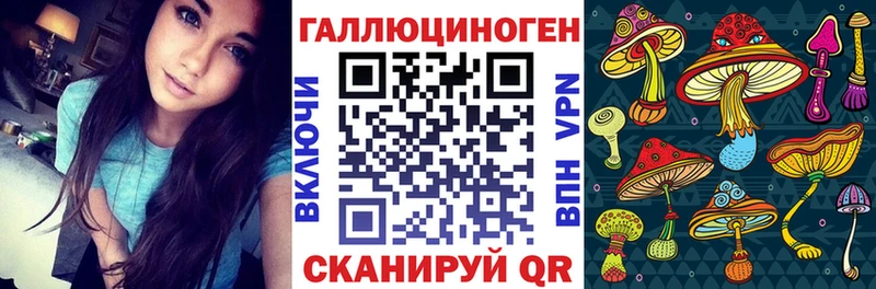 Псилоцибиновые грибы GOLDEN TEACHER  Карабулак 