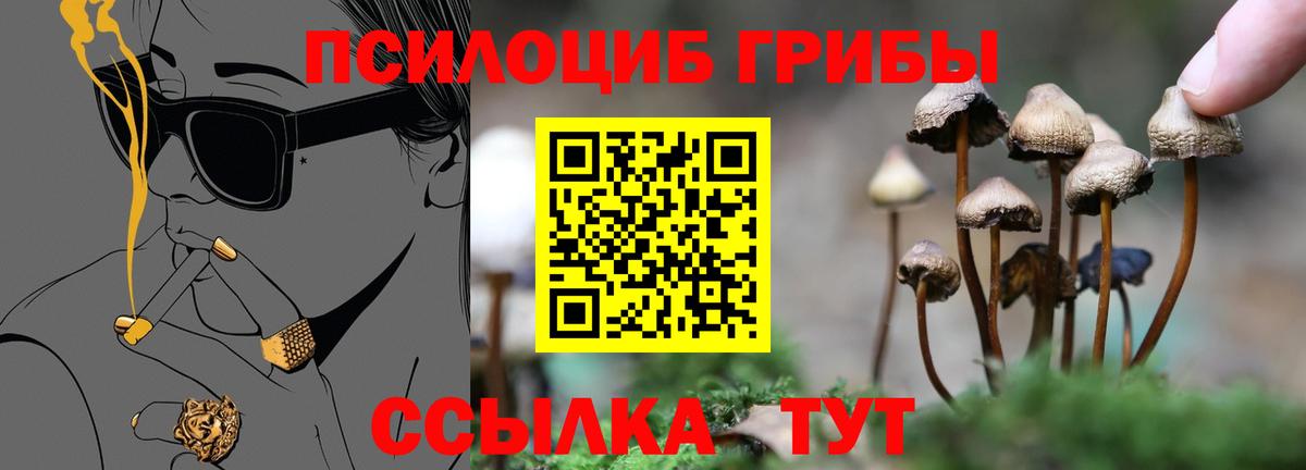 Карабулак  Псилоцибиновые грибы мицелий  Вход с VPN  Галлюциногенные грибы Magic Shrooms 